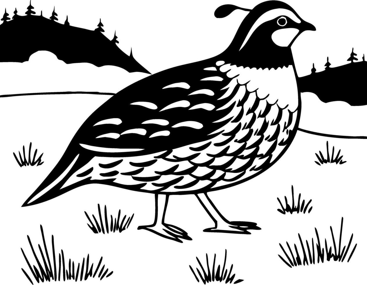 Quail Bird Design Ideal for Nature Themes and Artistic Projects vector