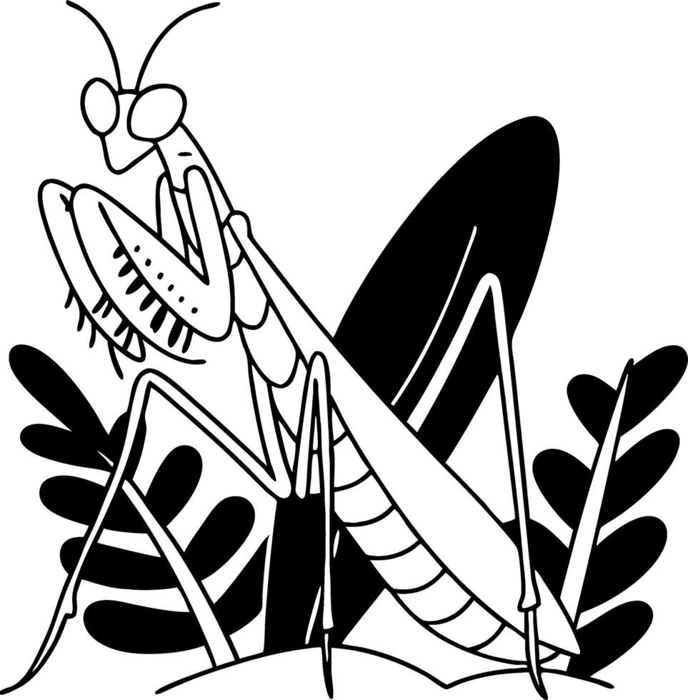 Detailed Mantis Illustration Ideal for Nature-Themed Designs and Coloring Pages vector