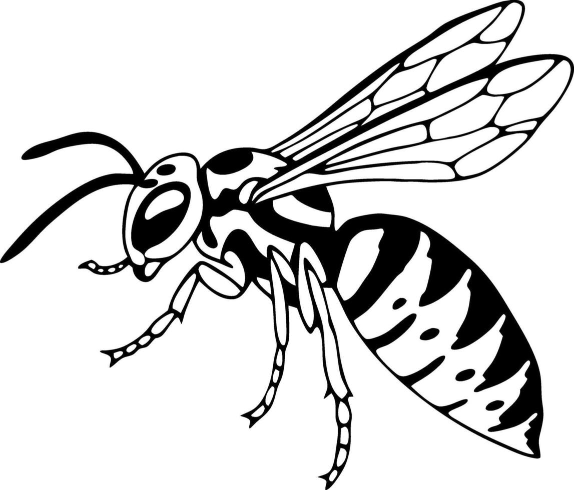 Detailed Black and White Bee Illustration Ideal for Tattoo Design and Coloring Books vector