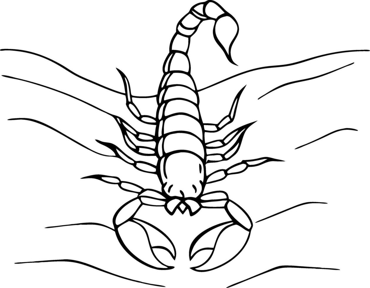 Detailed Scorpion Illustration for Tattoo Design Coloring Book Nature Themed Art vector