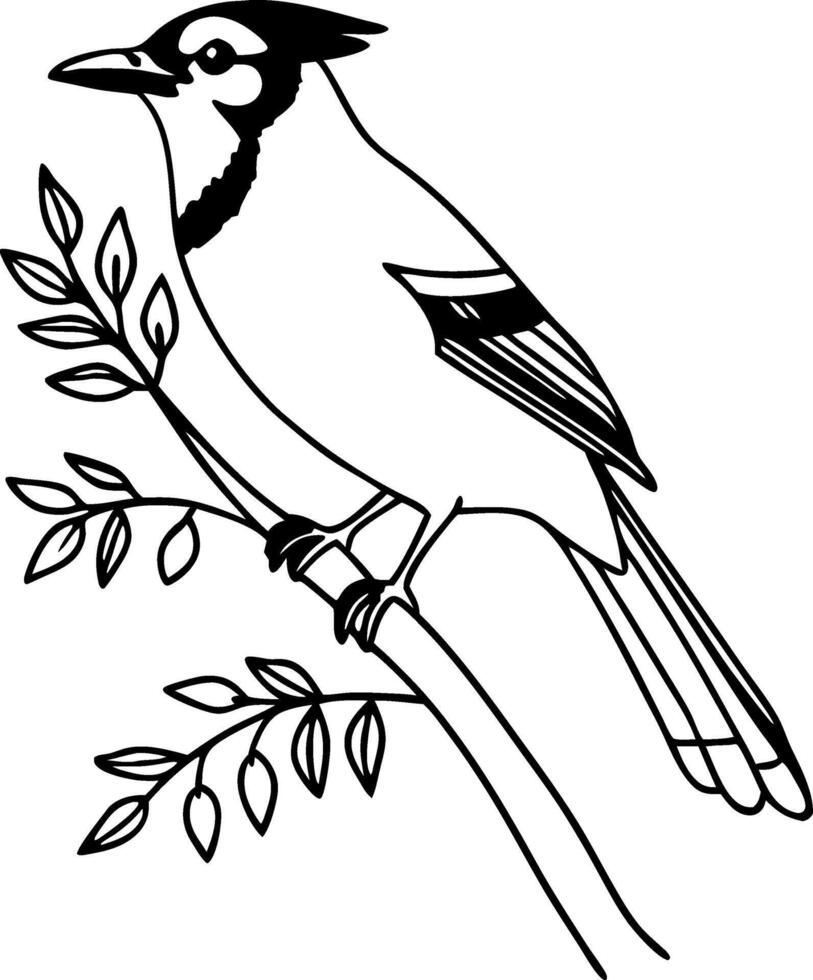 Elegant Blue Jay Bird Perched on Branch with Leaves for Nature Inspired Designs and Art vector
