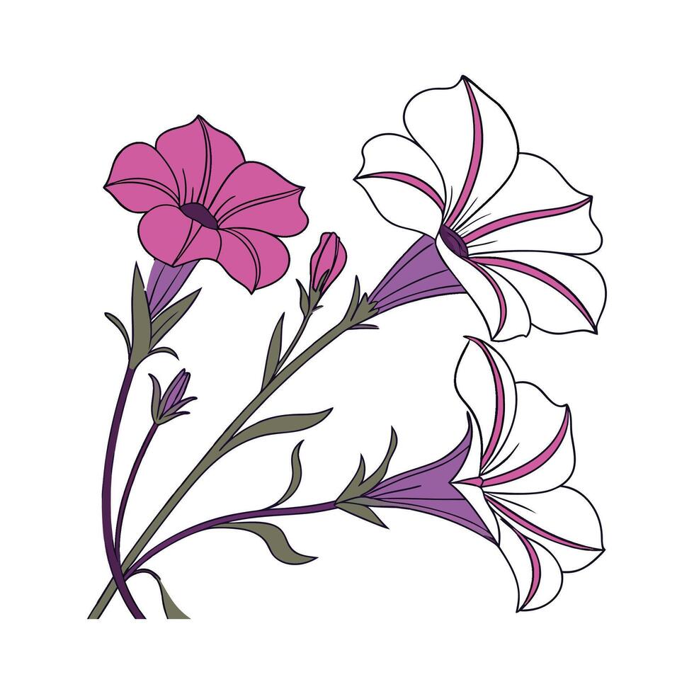 Petunia Floral Design on White Background vector