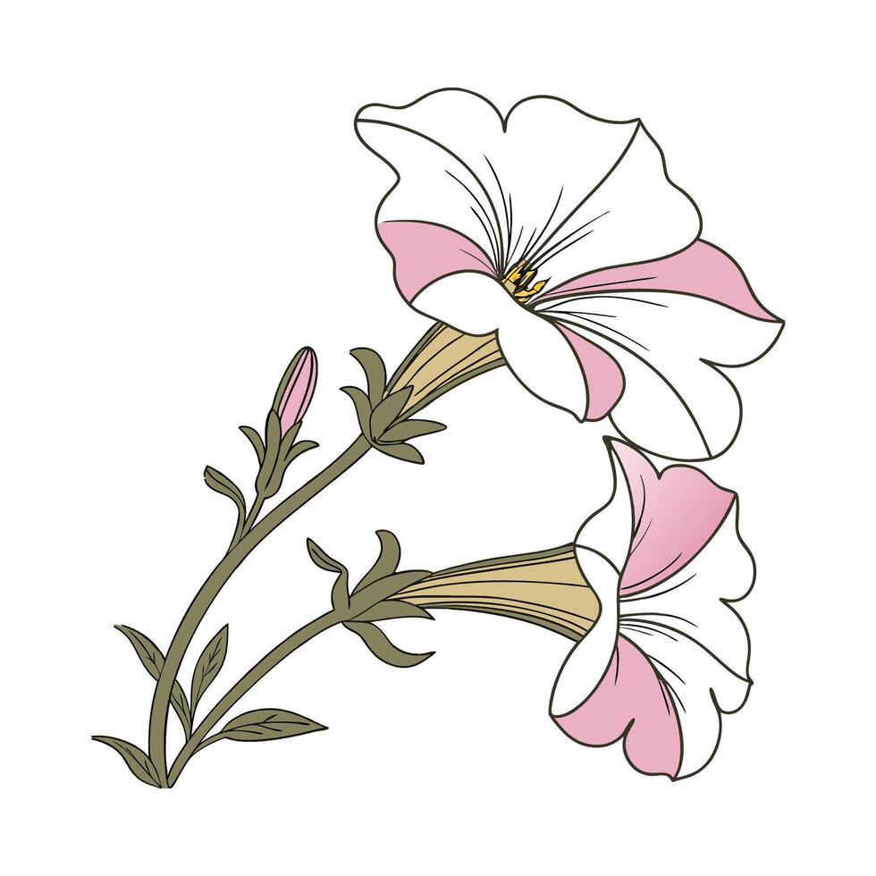 Petunia Flower Bright Design on White vector