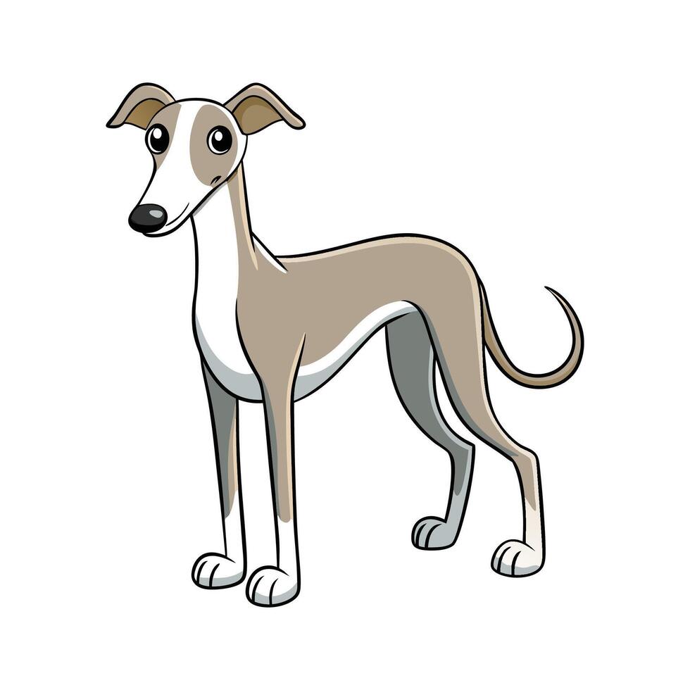 Stylized Whippet Dog Illustration in Outline vector