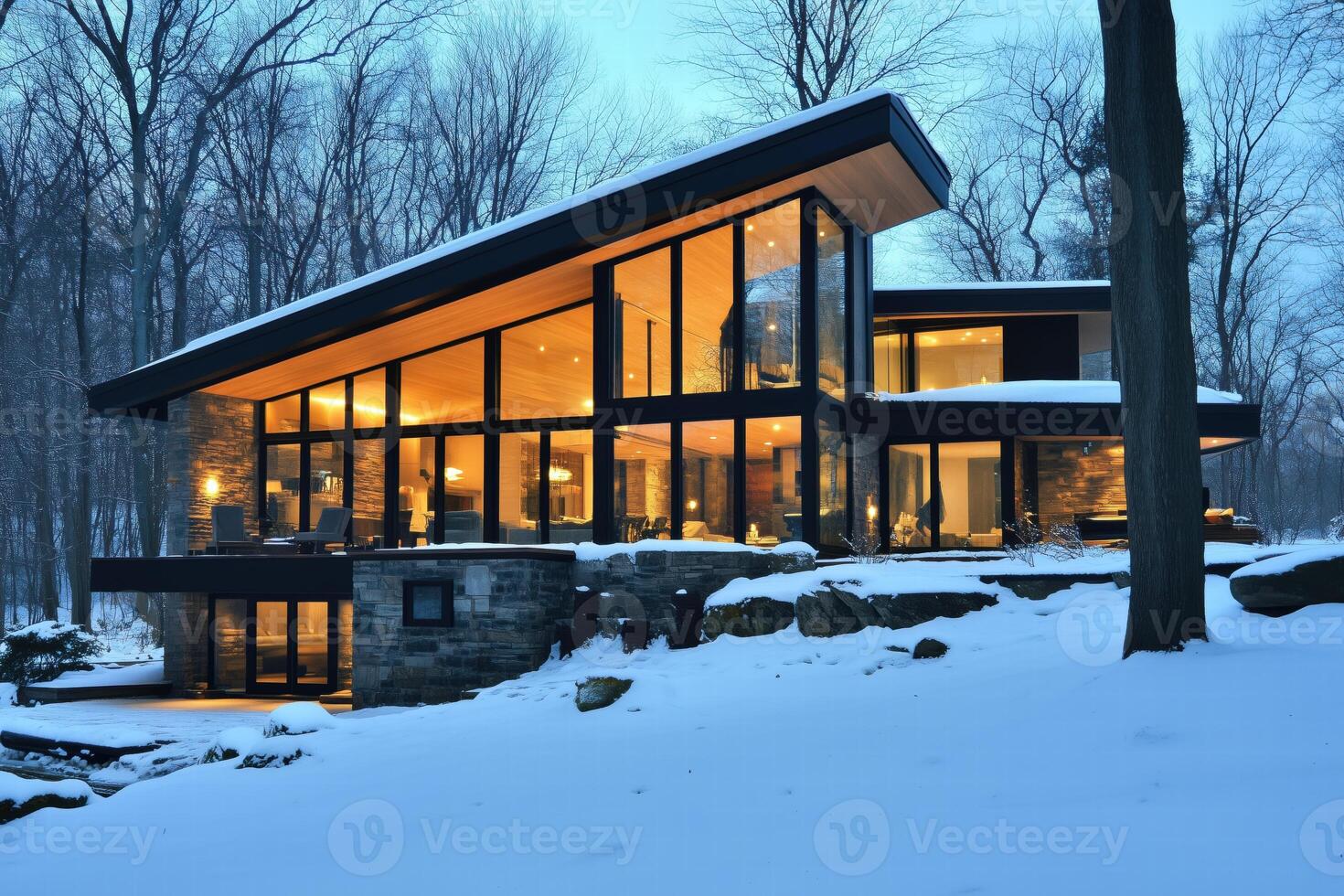 A modern home in the woods with snow on the ground photo