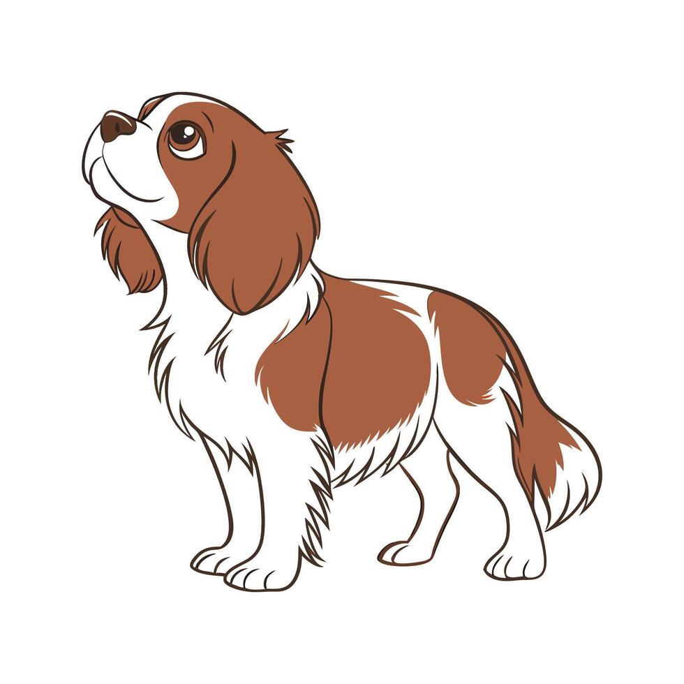 Cavalier Spaniel Dog on White Background Art vector