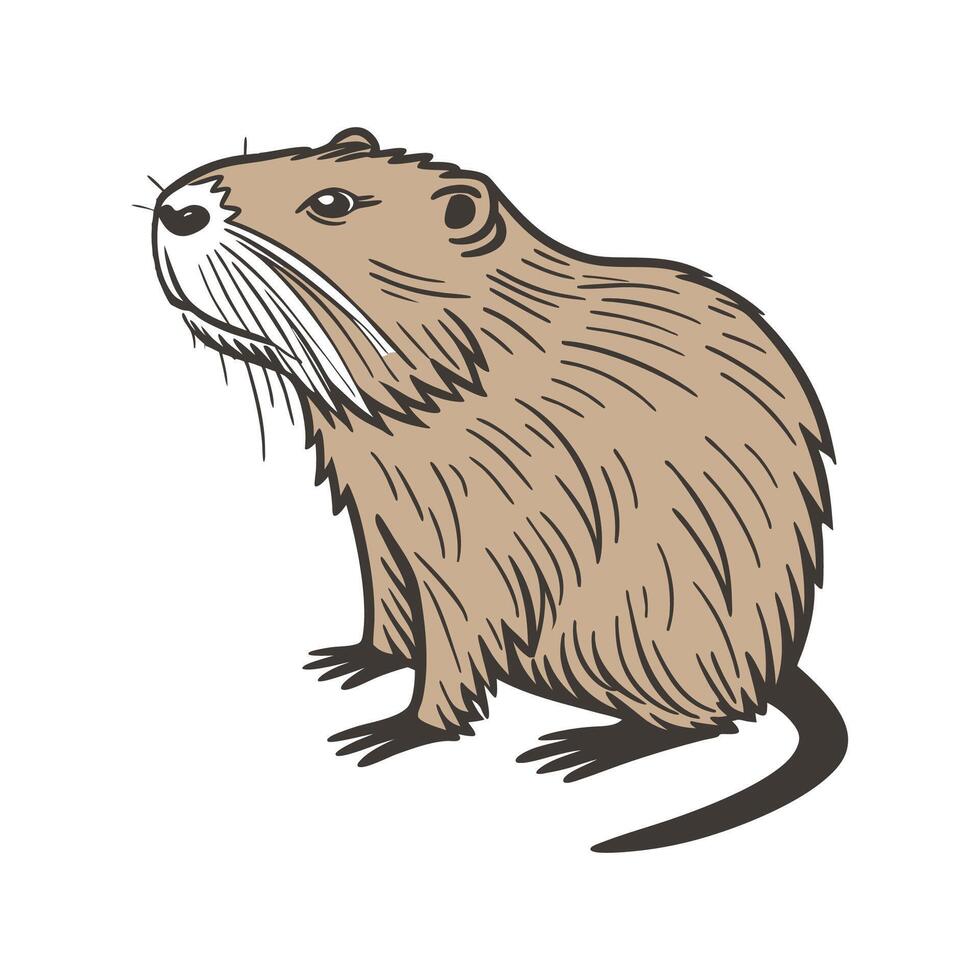 Nutria Animal on White Background Design vector