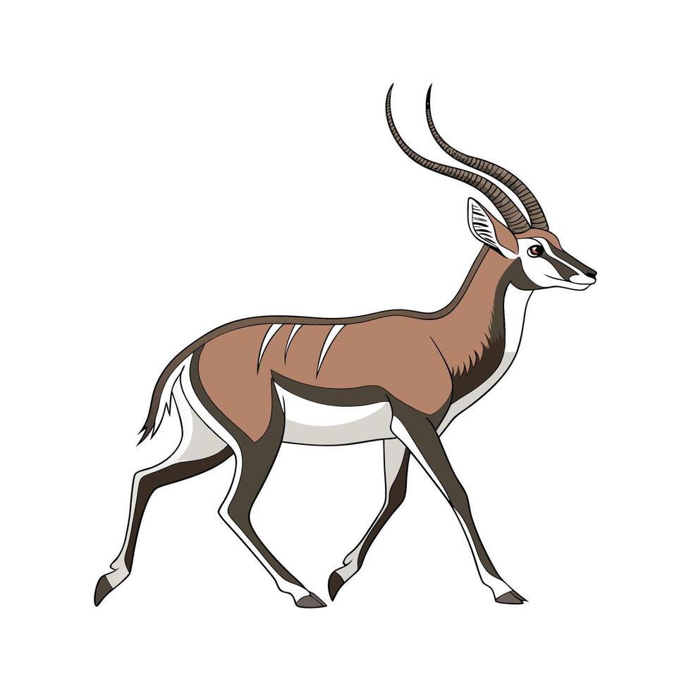 Sitatunga Antelope on White Background Illustration vector