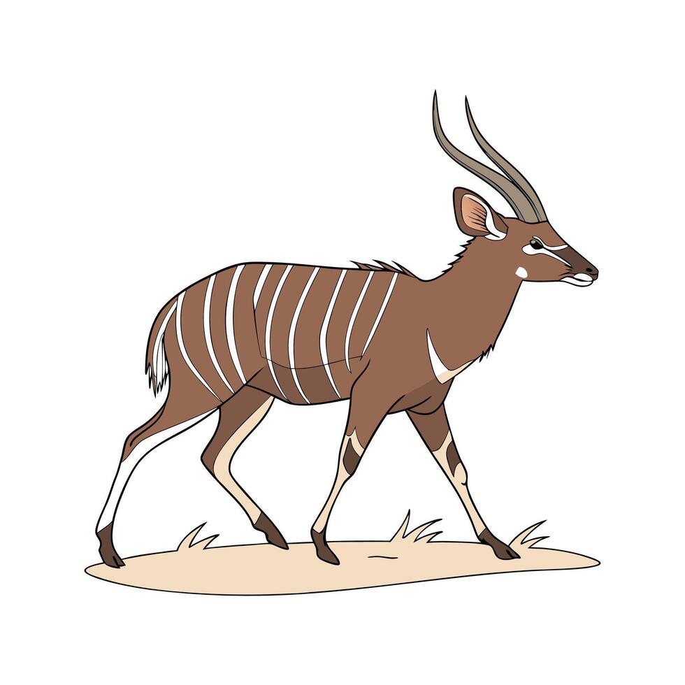 Sitatunga Antelope Unique on White Background vector