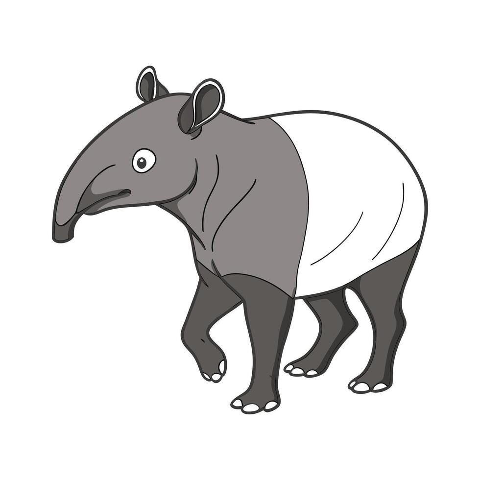 Tapir Illustration on White Background vector