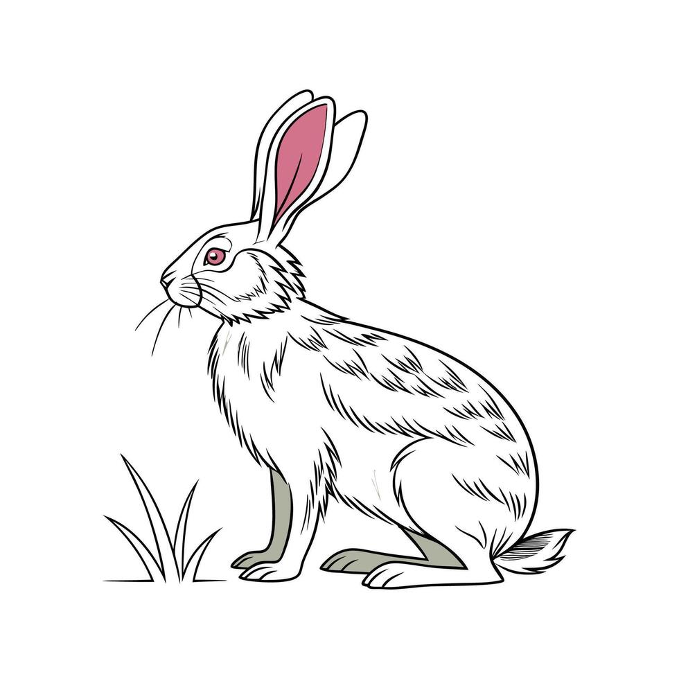 Stylized Rex Rabbit on White Background vector