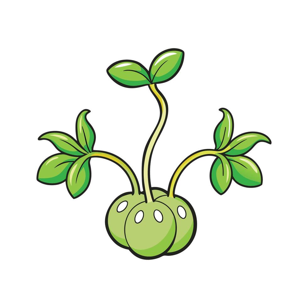 Mung Bean Sprouts on White Background Illustration vector