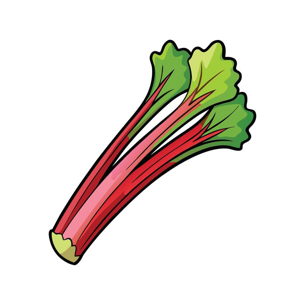 Crimson Rhubarb Plant on White Background vector