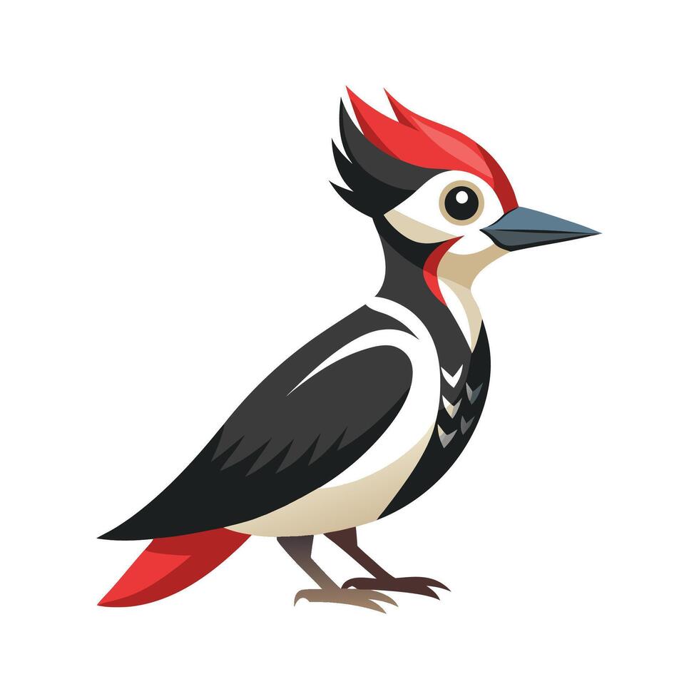 Stylized Woodpecker on White Background vector