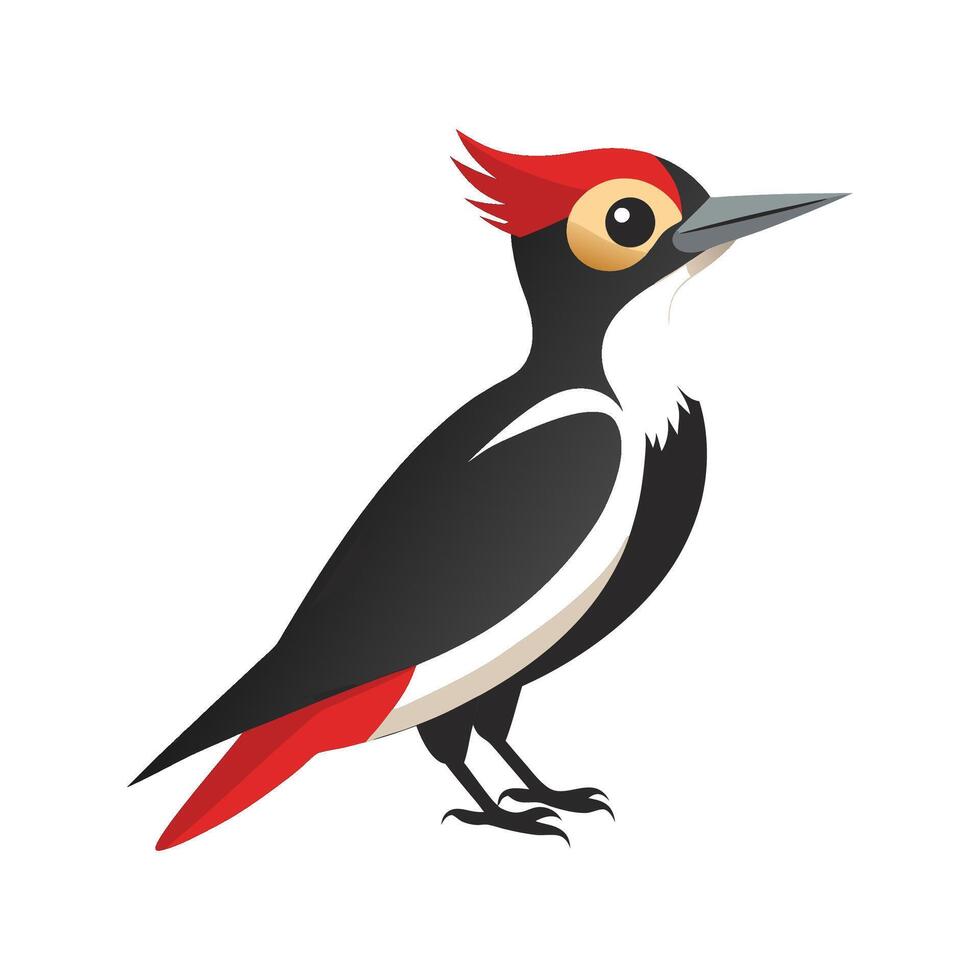 Stylized Woodpecker Bird on White Background vector