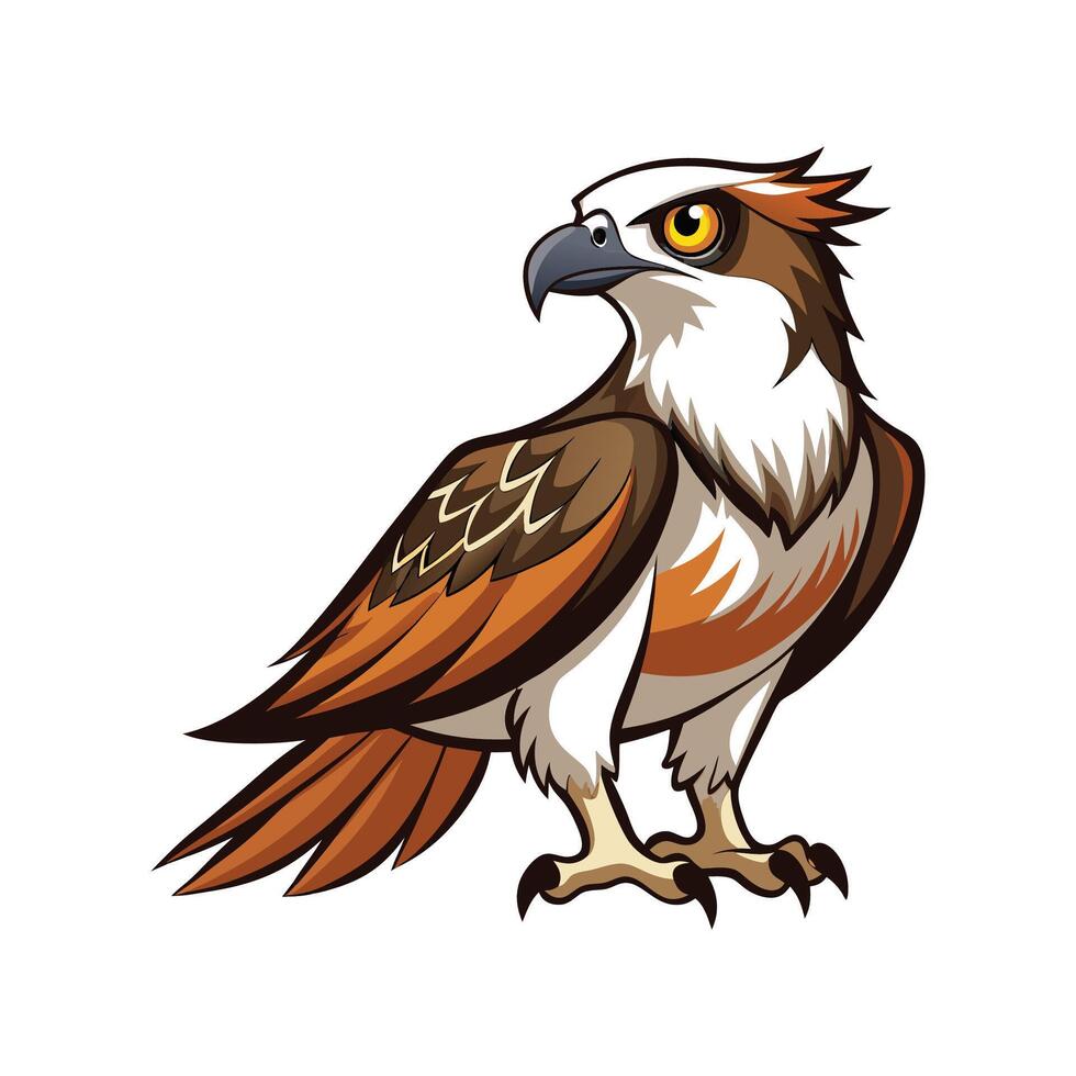Osprey Bird Bold Outline Illustration vector