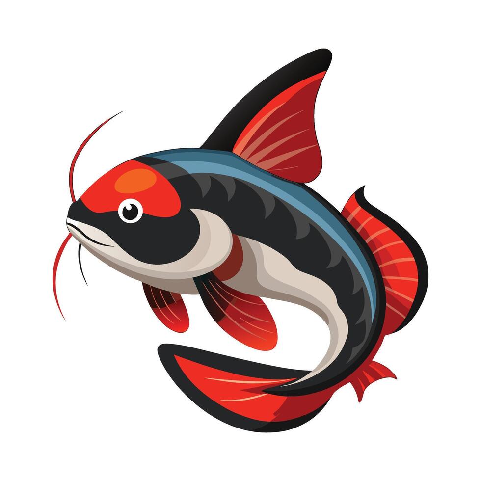 General Redtail Catfish on White Background vector