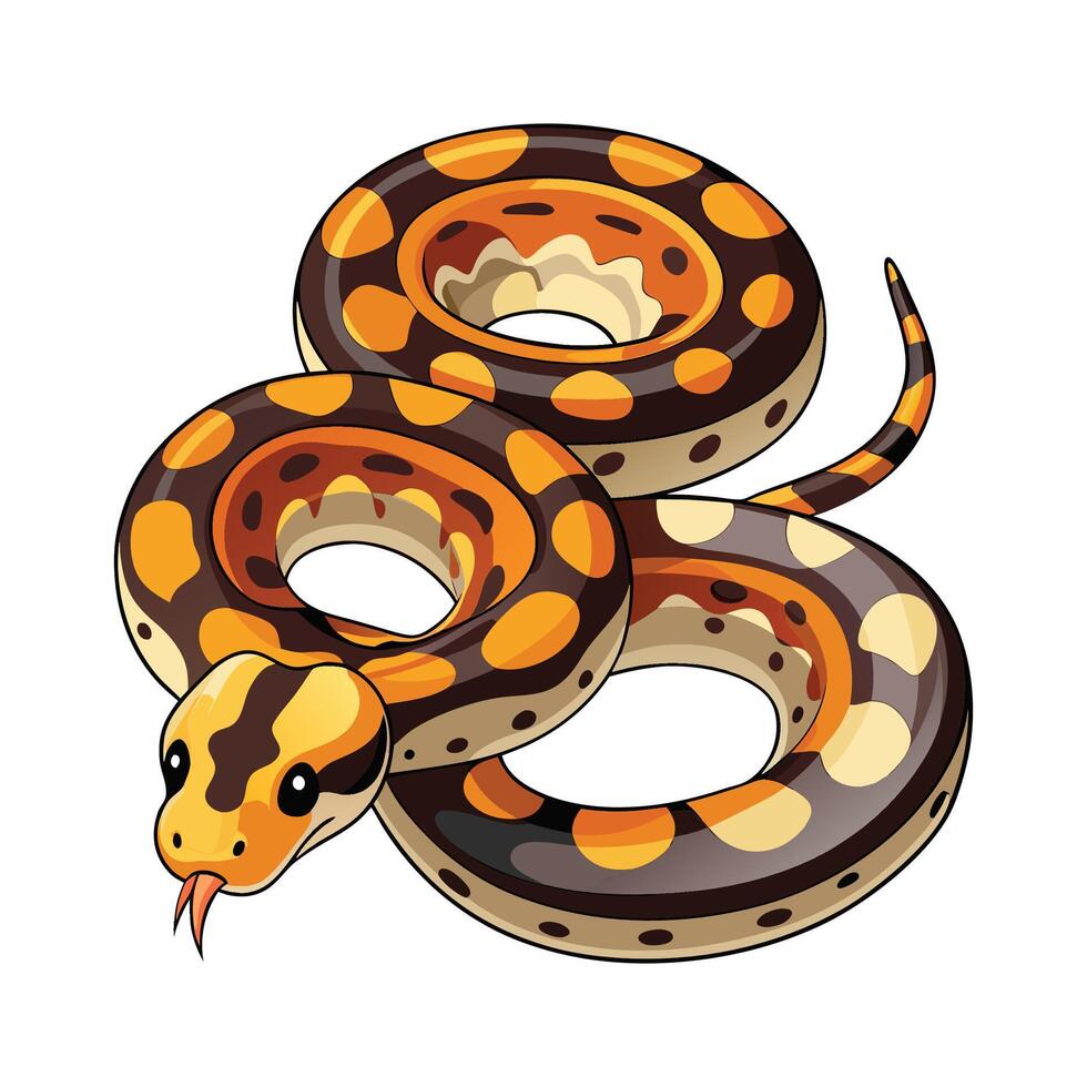 General Spotted Python on White Background vector