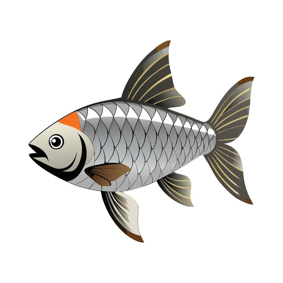 General Tinfoil Barb Barbonymus Schwanenfeldii vector