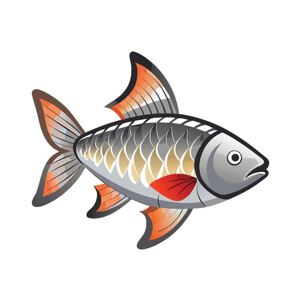 Tinfoil Barb Unique on White Background vector