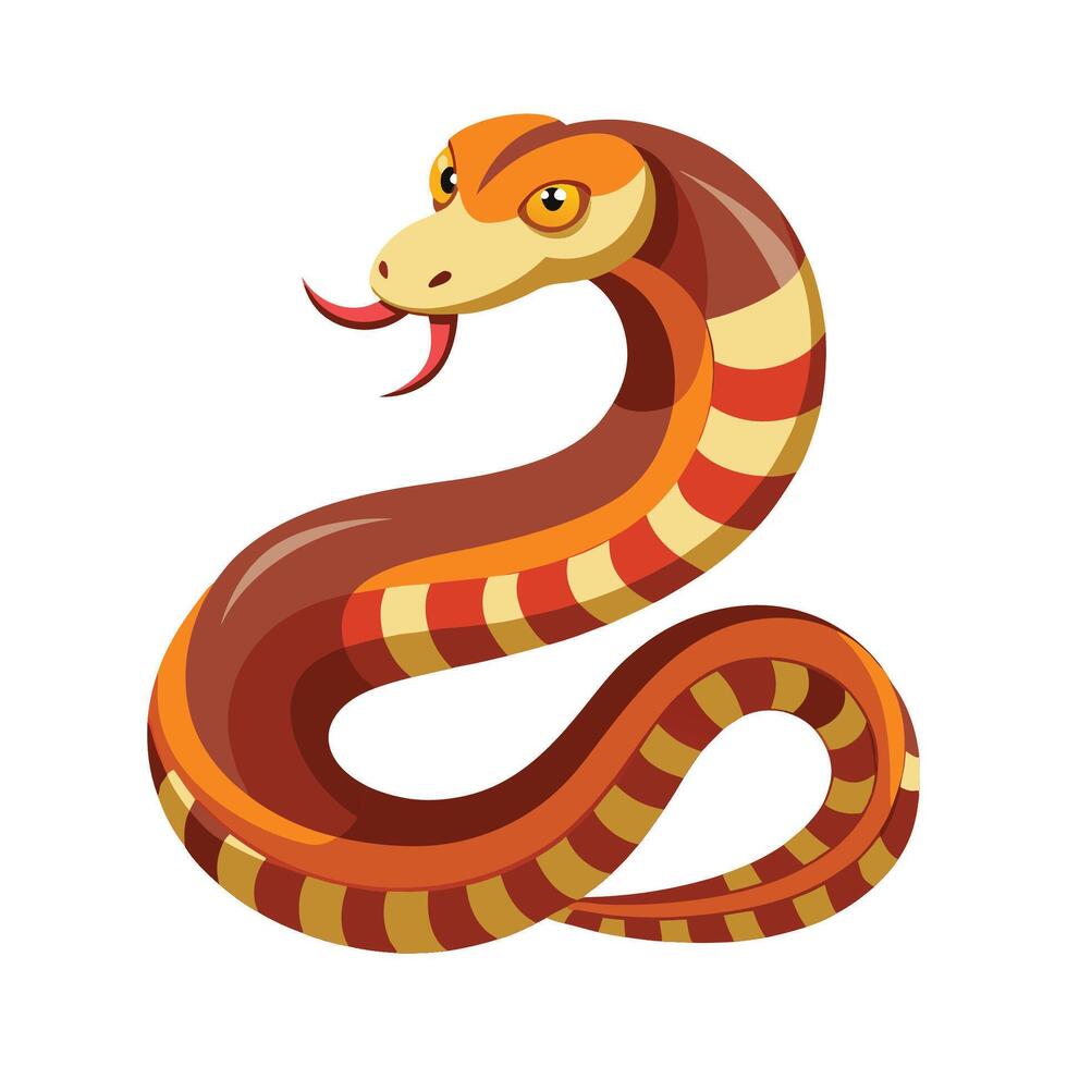 General Urutu Snake on White Background vector