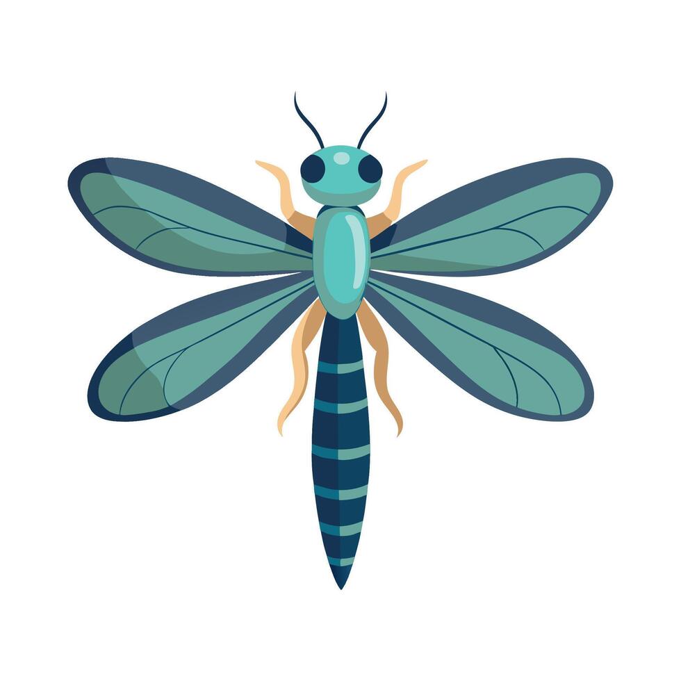 Dragonfly on White Background vector