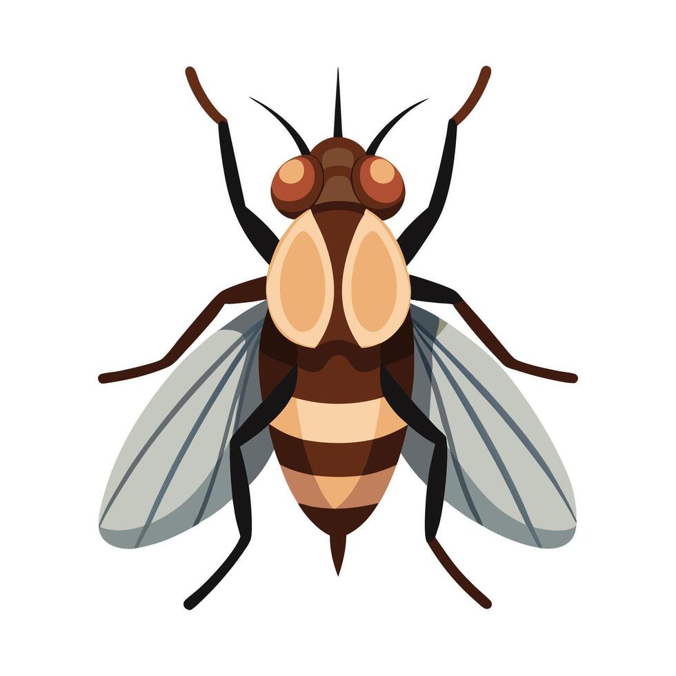 General Horsefly on White Background vector
