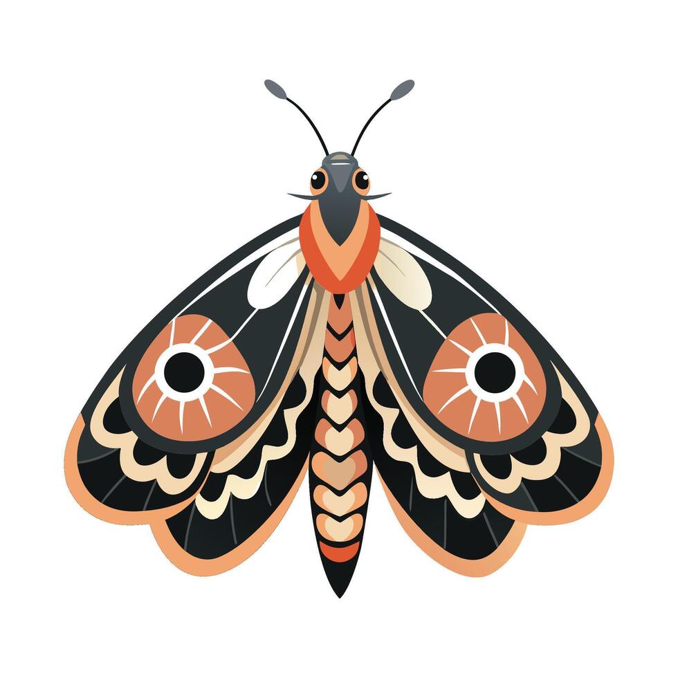 General Urania Leilus on White Background vector