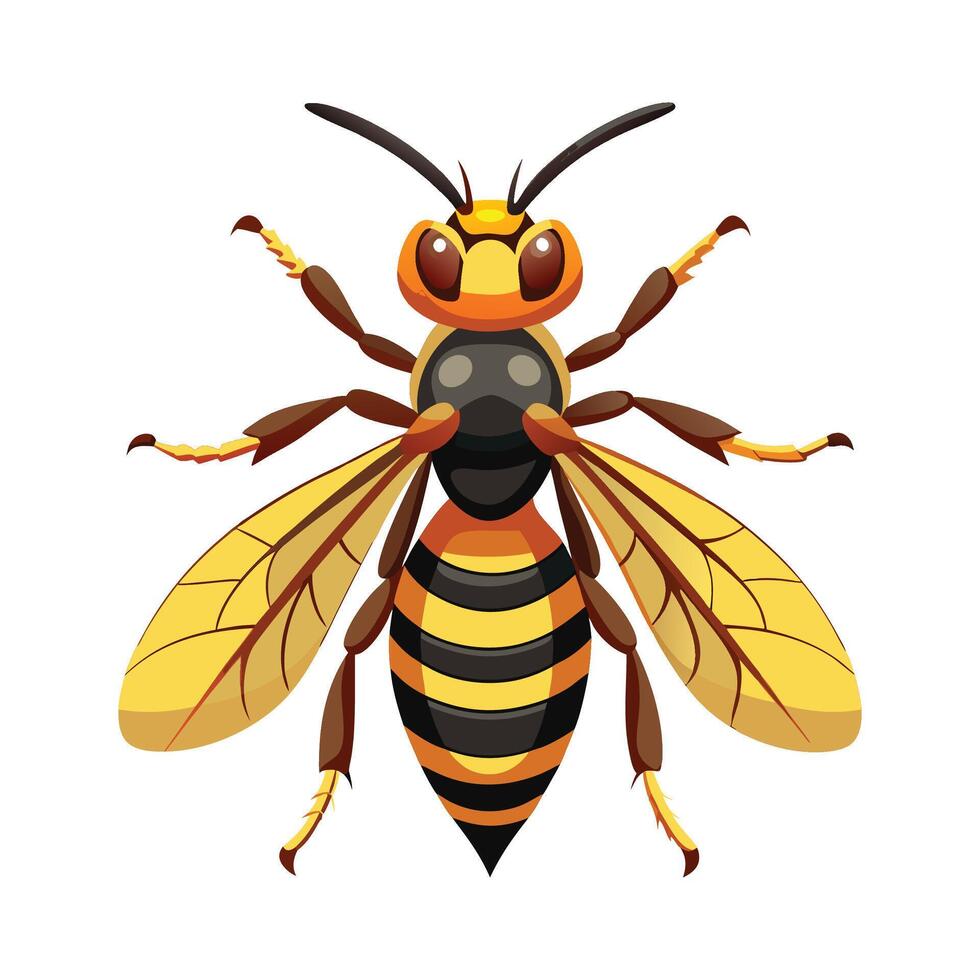 Stylized Vespa Crabro on White Background vector