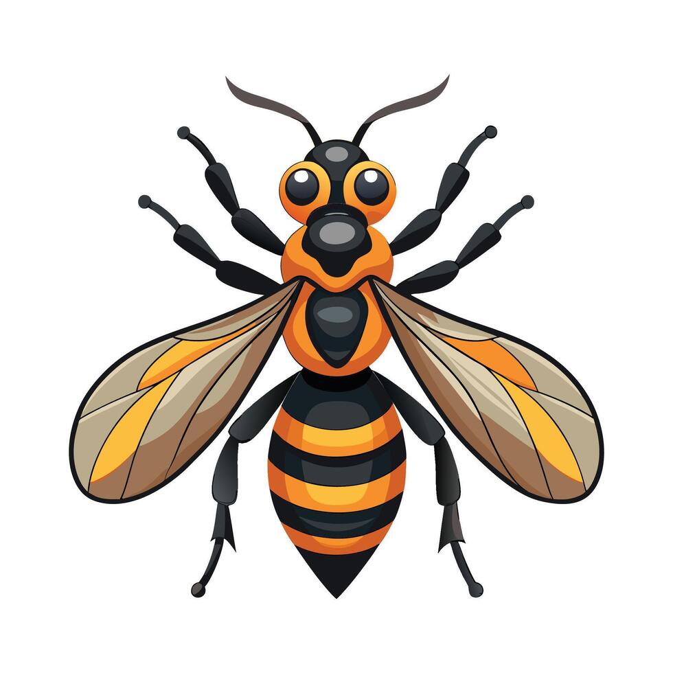 Vespa Mandarinia on White Background vector
