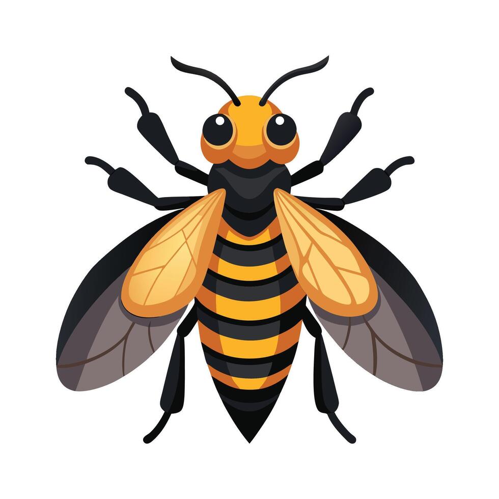 Unique Vespa Mandarinia Design vector
