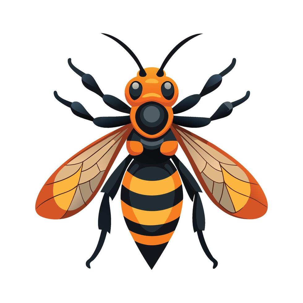 General Vespa Mandarinia vector