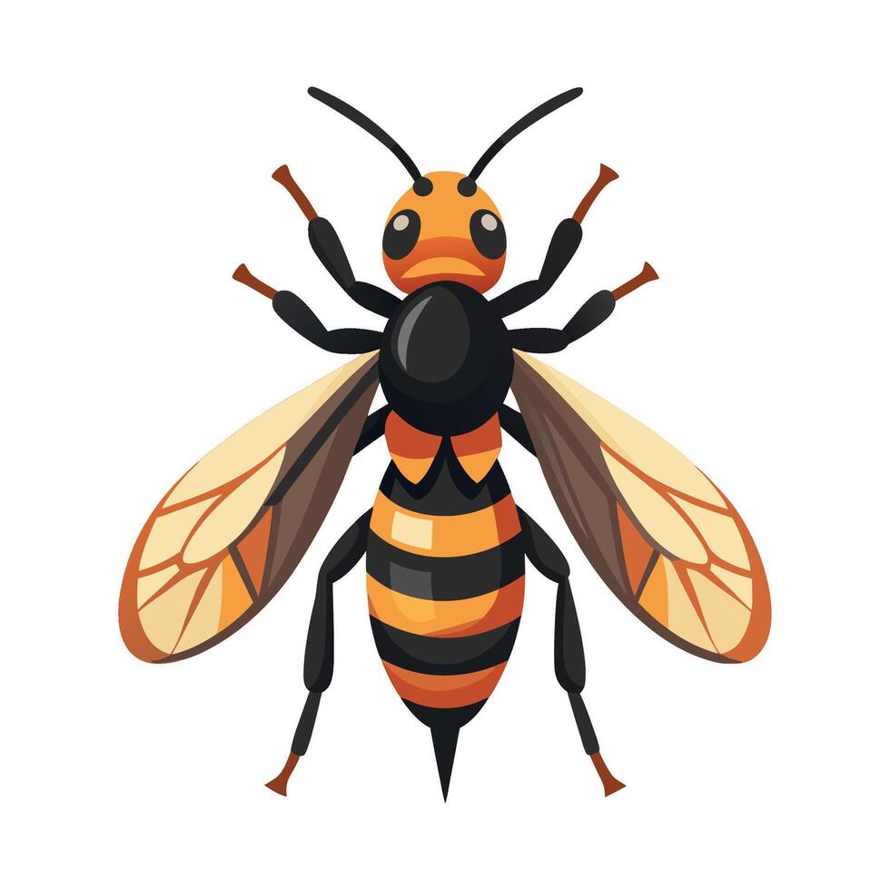 Stylized Vespa Velutina vector