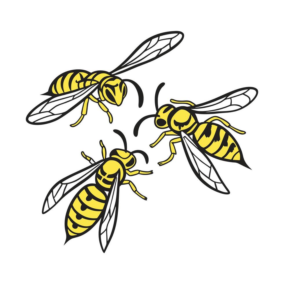 Display of Yellowjackets on Clean White Background vector