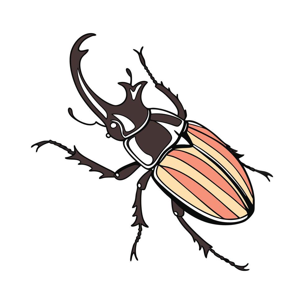 Stylish Acanthosoma Insect Illustration on White vector