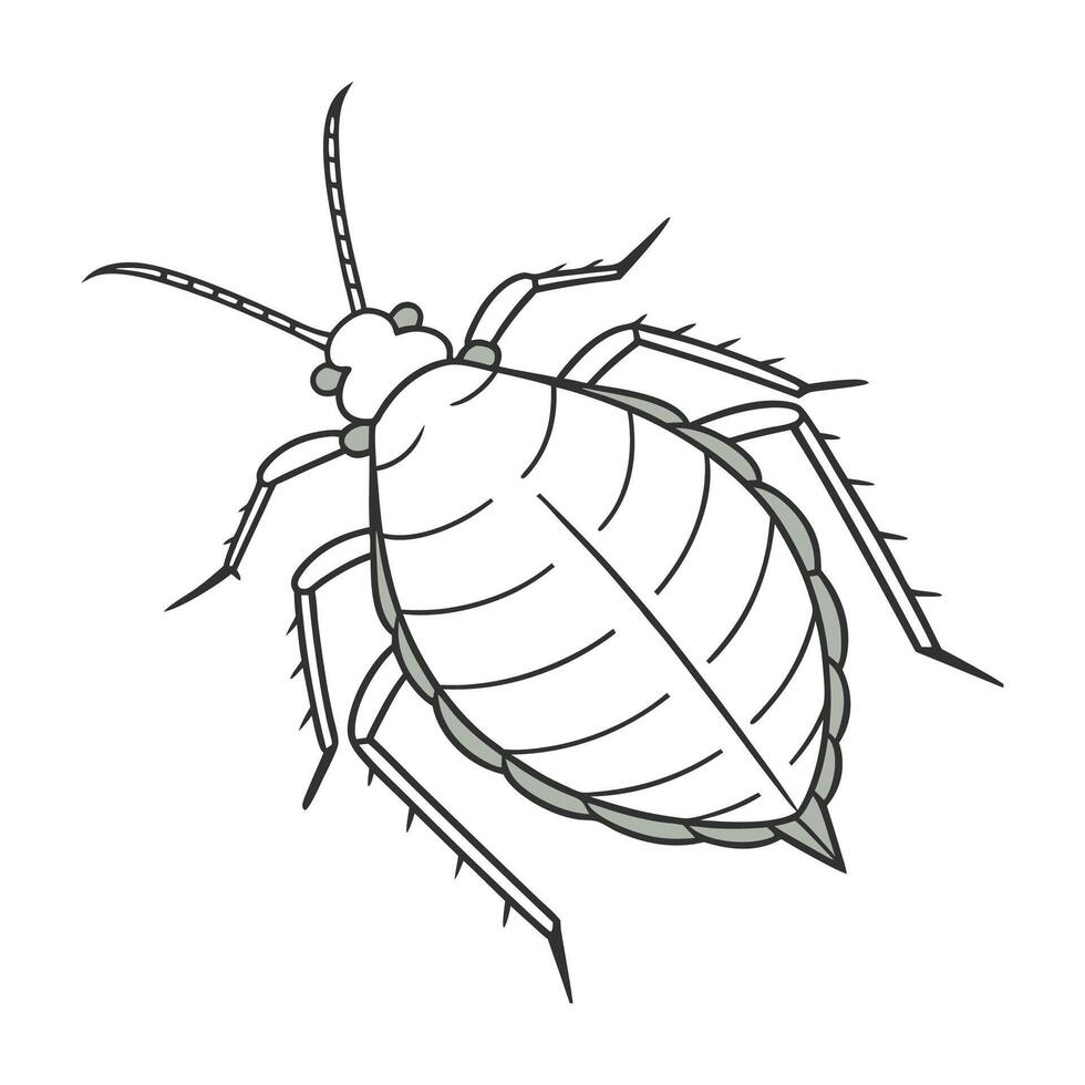 Acytoctonus Pisum Insect Design on White vector