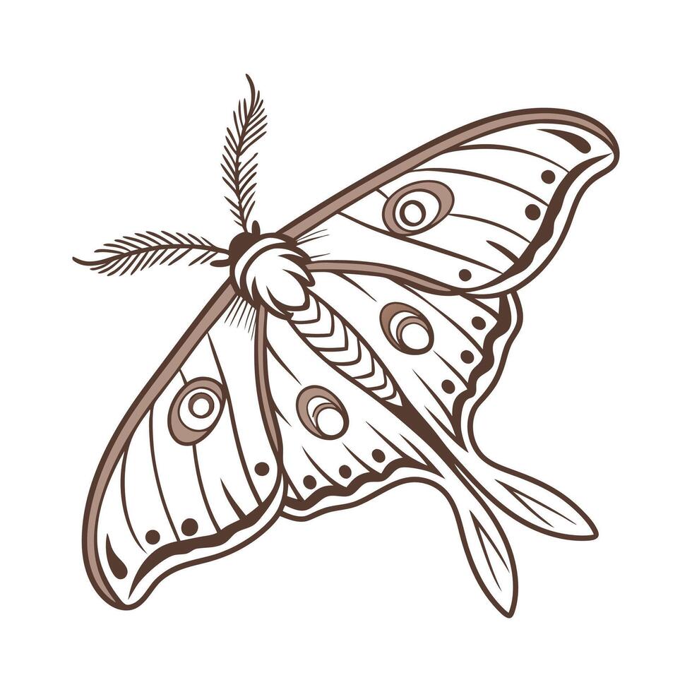 Elegant Actias Luna Moth Illustration on White vector
