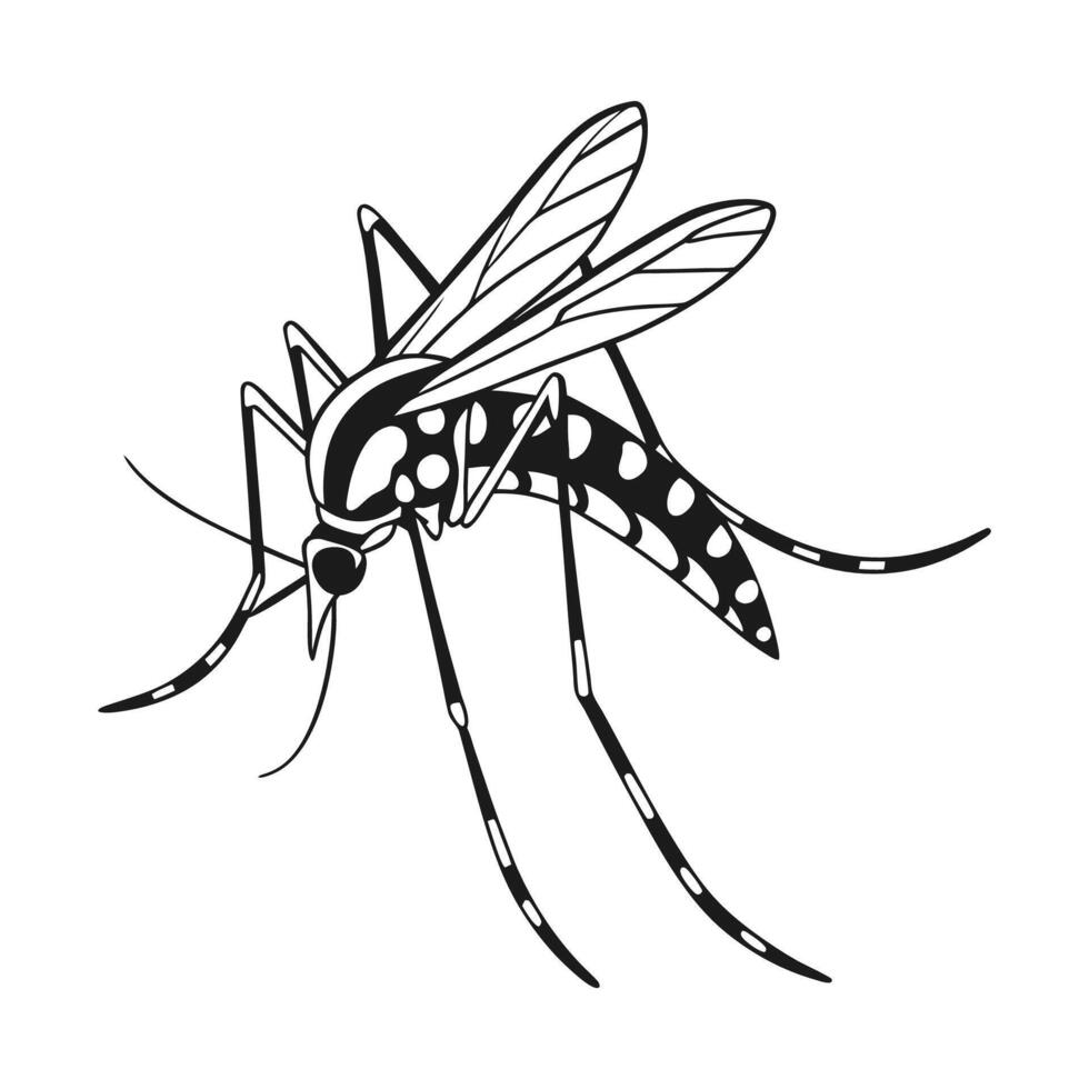 Creative Aedes Aegypti Mosquito Graphic vector
