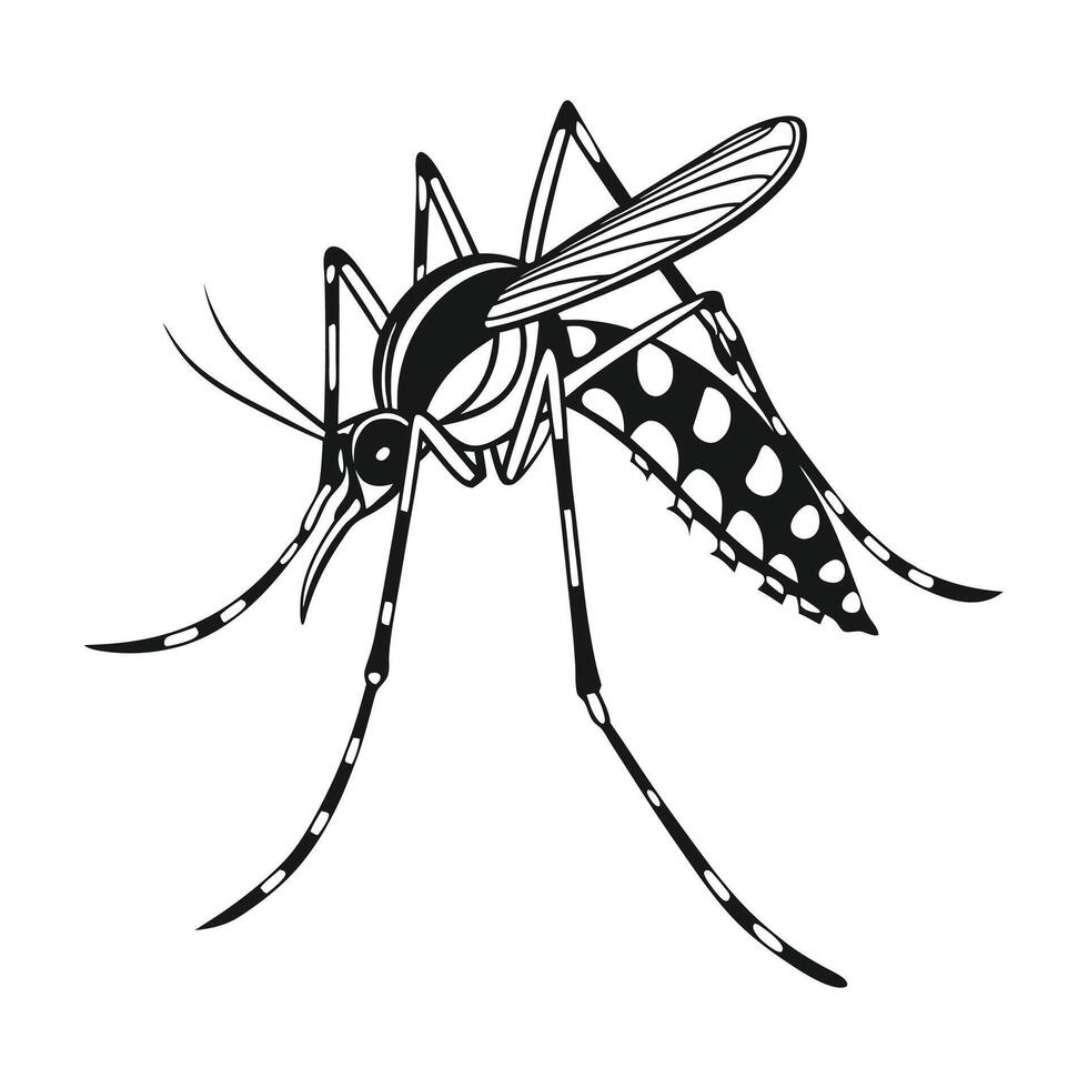 Stylish Aedes Aegypti Mosquito Illustration vector