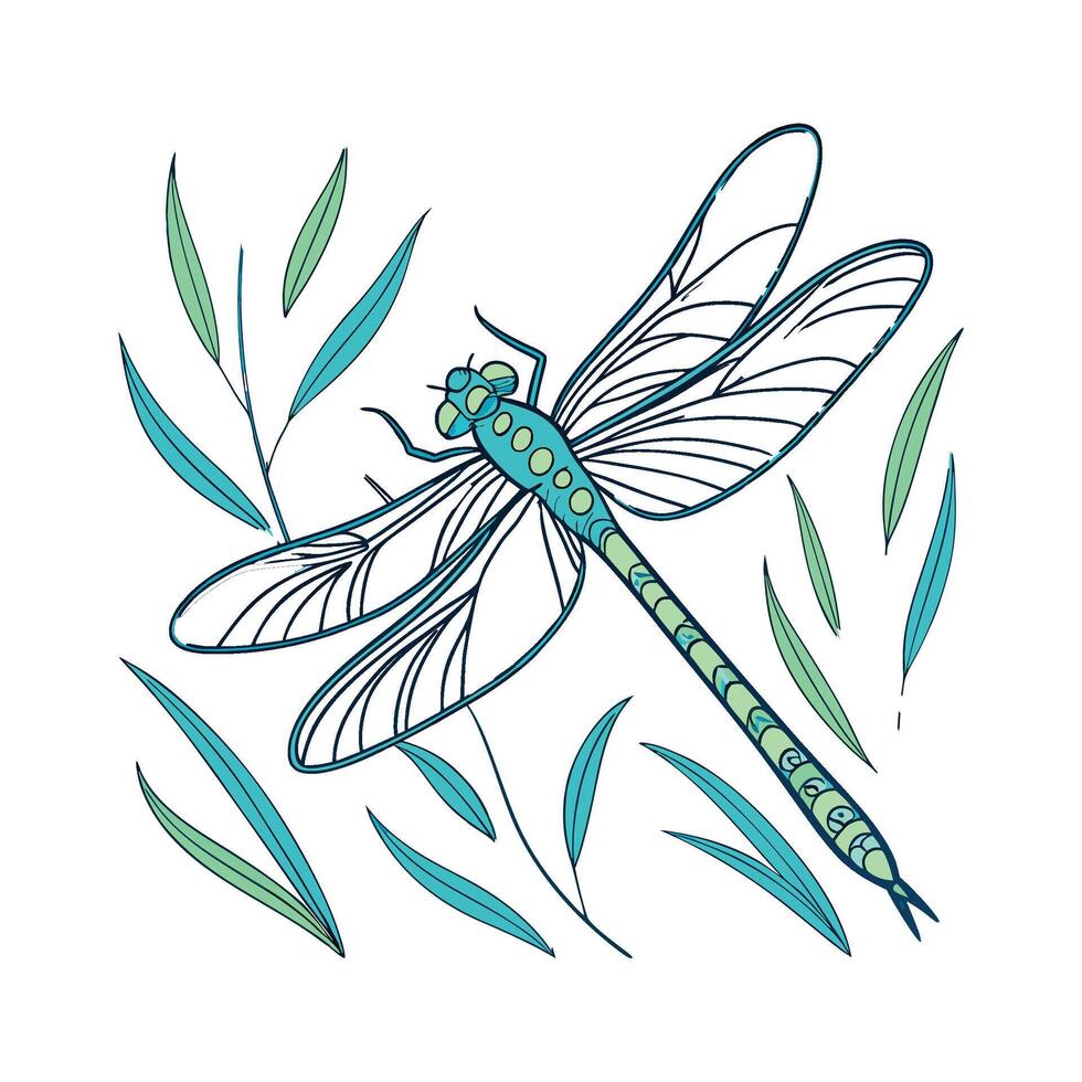 Aeshna Cyanea Dragonfly Design with White vector