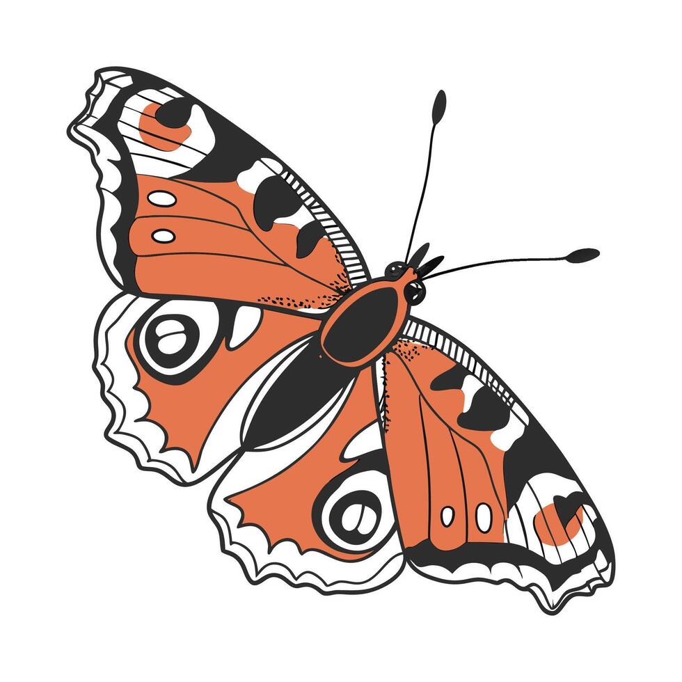 Beautiful Aglais Io Butterfly Graphic vector