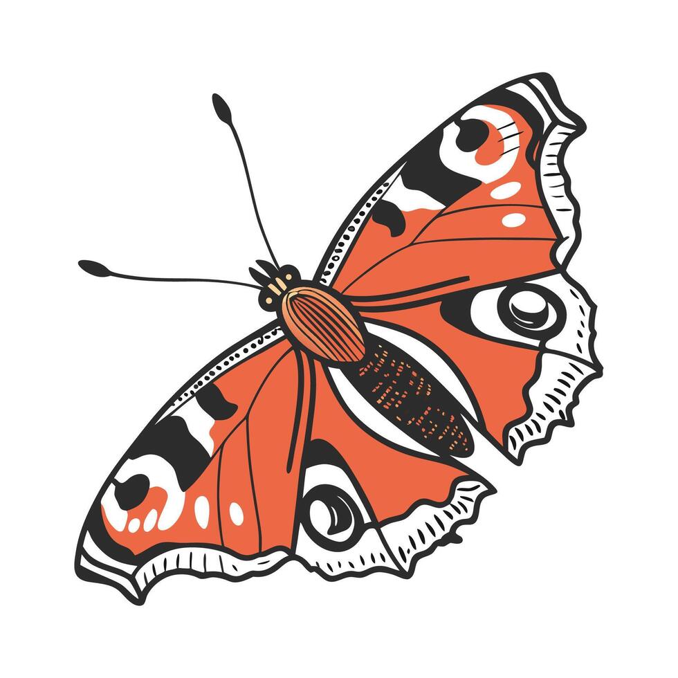 Creative Aglais Io Butterfly Graphic on White vector