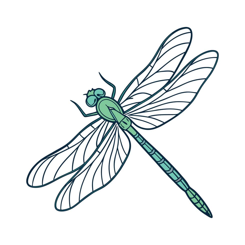 Anax Imperator Dragonfly Illustration on White vector