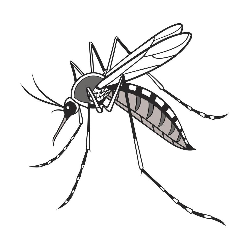Anopheles Gambiae Mosquito Design on White vector