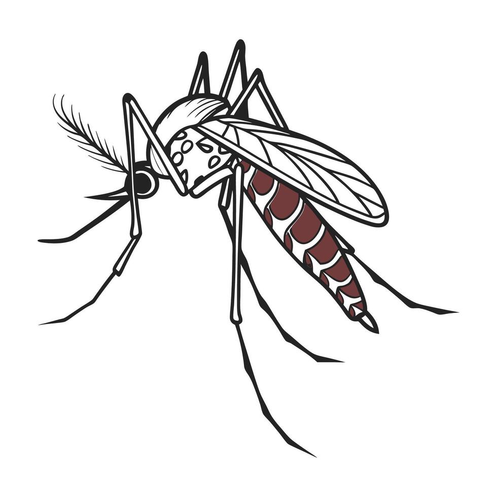 Creative Anopheles Gambiae Mosquito Graphic vector
