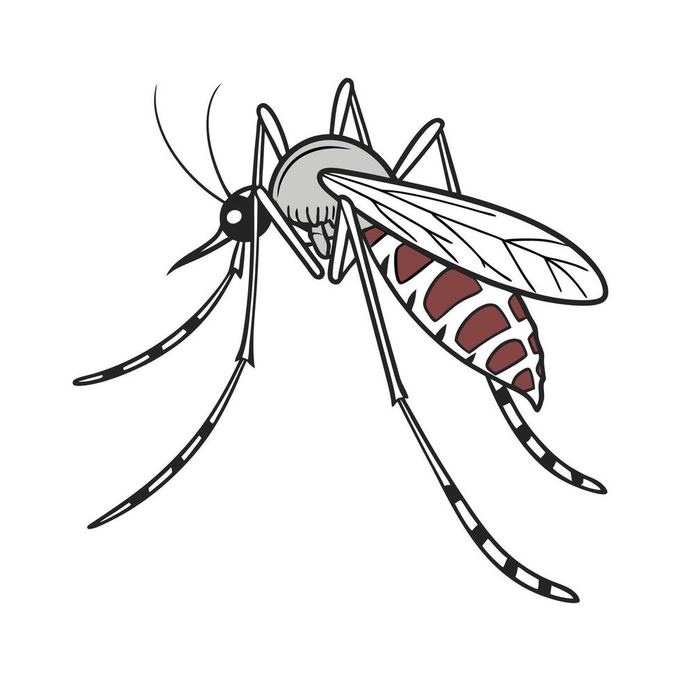 Stylish Anopheles Gambiae Mosquito Illustration vector