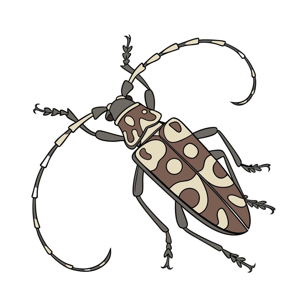 Creative Anoplophora Glabripennis Beetle Design vector