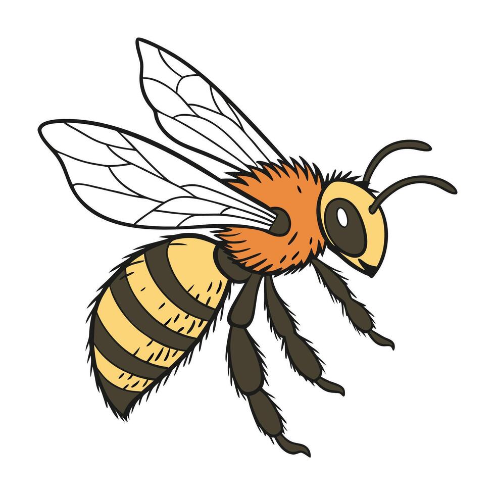 Creative Anthophora Bee Illustration on White vector