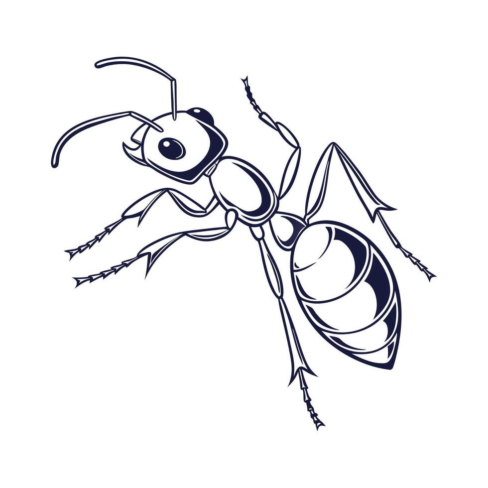 Ant Insect Design with White Background vector