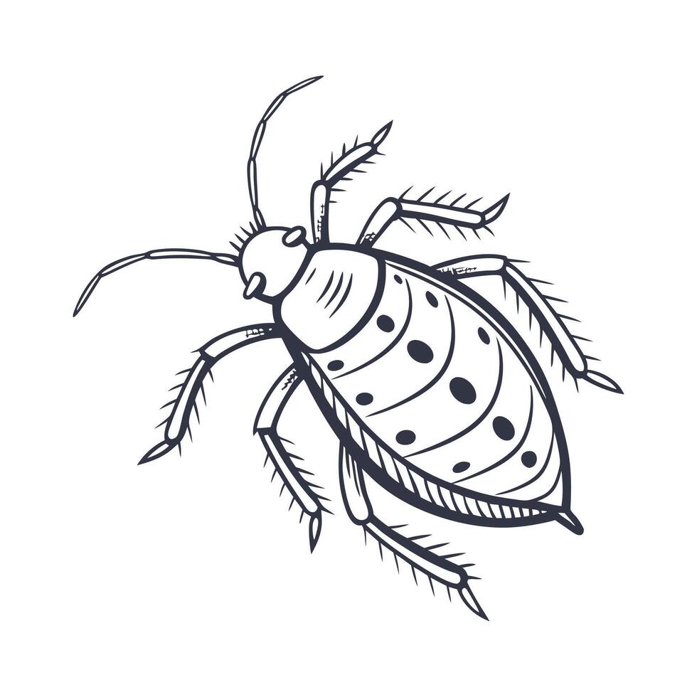Creative Aphid Insect Graphic with White Background vector